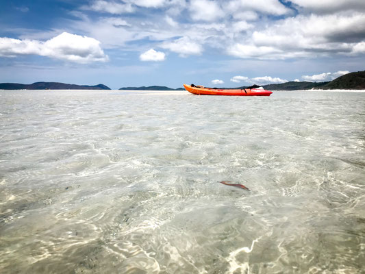 Hill Inlet - Whitehaven Beach