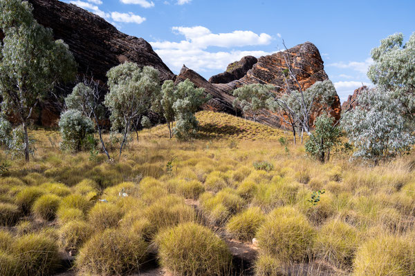 Purnululu Nationalpark - auf dem Weg zum Mini Palms Walk