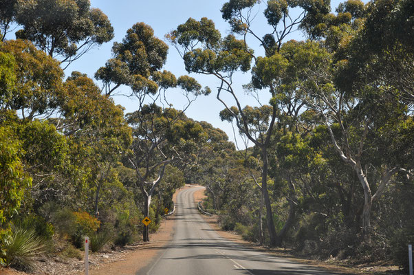 Unterwegs auf Kangaroo Island