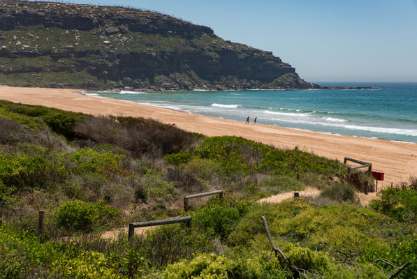 Palm Beach
