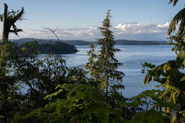 Auf dem Weg nach 'Telegraph Cove' - Aussicht bei 'Beaver Cove'