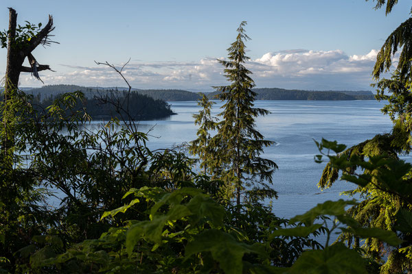 Auf dem Weg nach 'Telegraph Cove' - Aussicht bei 'Beaver Cove'