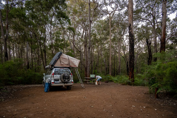 Boranup Forest, Leeuwin-Naturaliste Nationalpark - unser Nachtlager auf dem Jarrahndene Campground