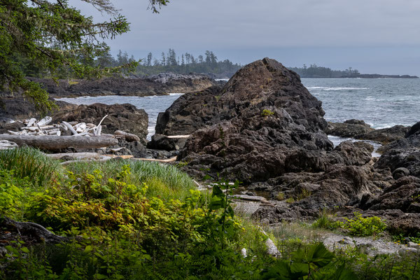 Ucluelet - Wild Pacific Trail