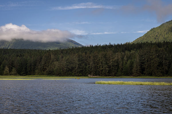 Port McNeill/Knight Inlet - Grizzly Tour mit 'Sea Wolf Adventures'