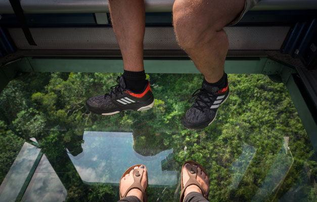 Ngong Ping Cable Car zum Big Buddha - Glasbodenkabine