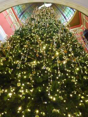 Im Queen Victoria Building - Christmas Tree