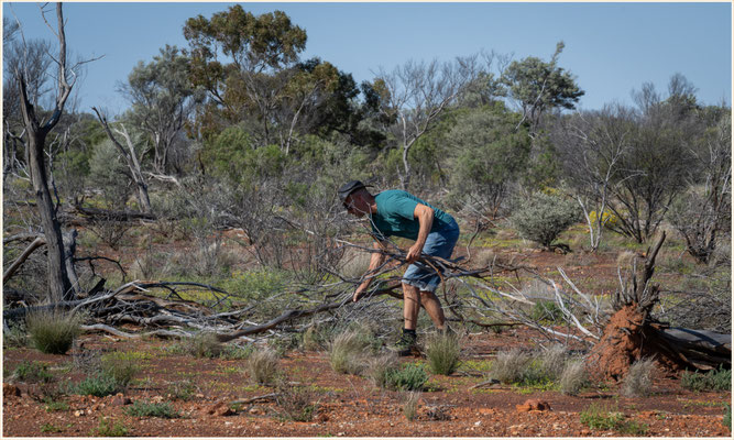 Outback Queensland - vor Yowah - Suche nach Feuerholz