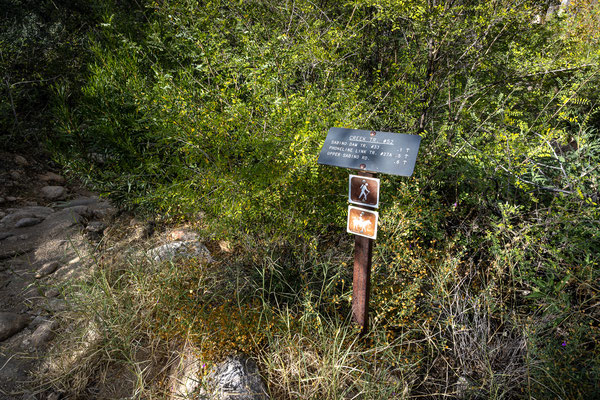 Sabino Canyon - Creek Trail