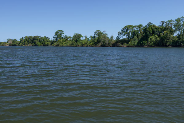 Solar Whisperer Daintree River Crocodile Tour