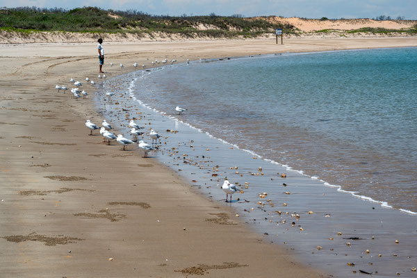 Middle Lagoon, Dampier Peninsula
