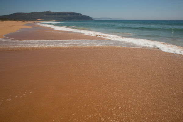 Palm Beach