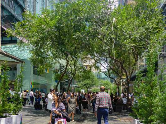 Pitt Street