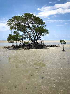 Moremilu-Beach