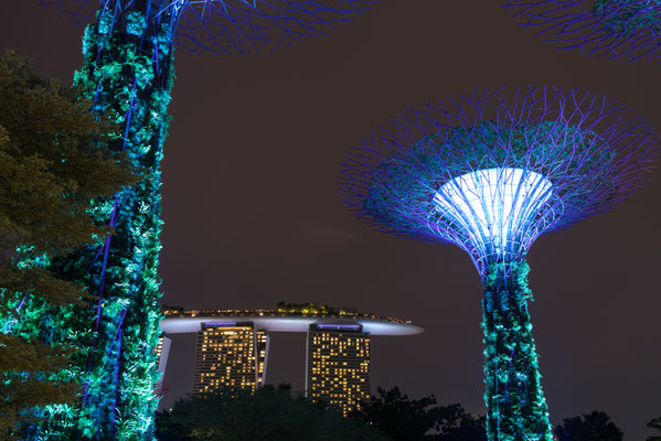 Garden of the Bay - Supertree
