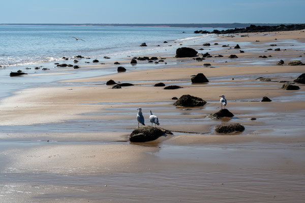 Pender Bay, Dampier Peninsula - der Strand