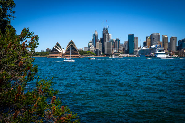 Kirribilli Boardwalk 
