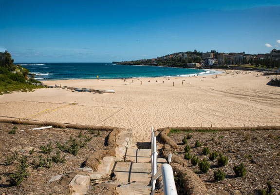 Coogee Beach
