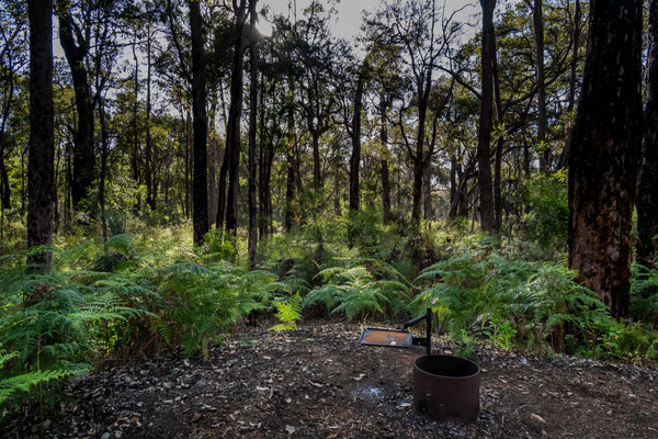 Jarrahndene Campground, Leeuwin-Naturaliste Nationalpark - am frühen Morgen