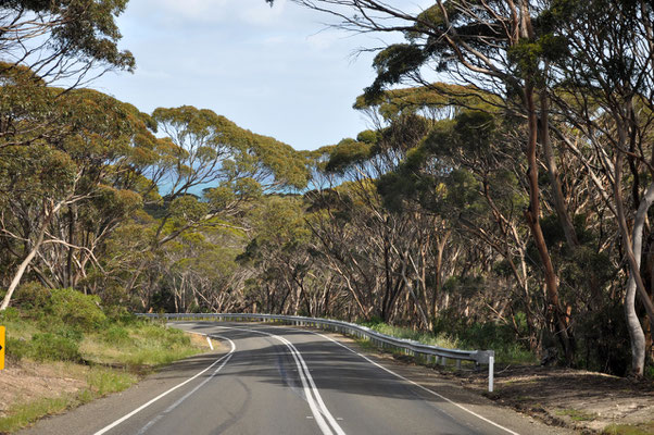 Unterwegs auf Kangaroo Island