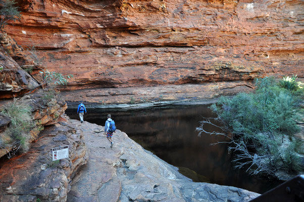 Kings Canyon Rim Walk - Garden Eden