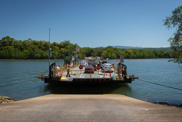 die Fähre über den Daintree River