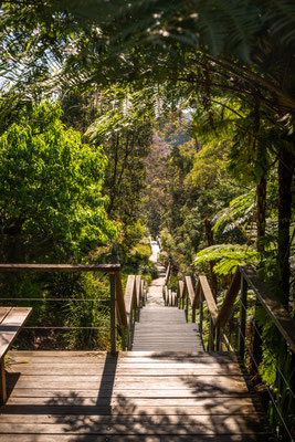 Treppen von der Middle Head Road runter zum Balmoral Park