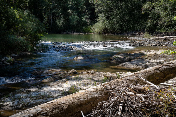 Little Qualicum Falls Provincial Park - Rundwanderung