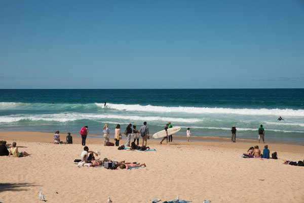 Manly Beach