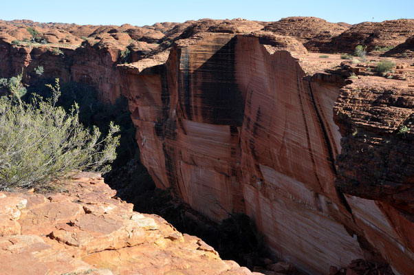 Kings Canyon Rim Walk