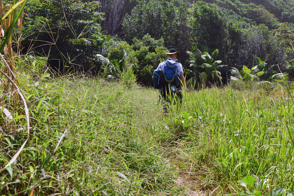 Auf dem Weg zur Petit Anse und Anse Coco