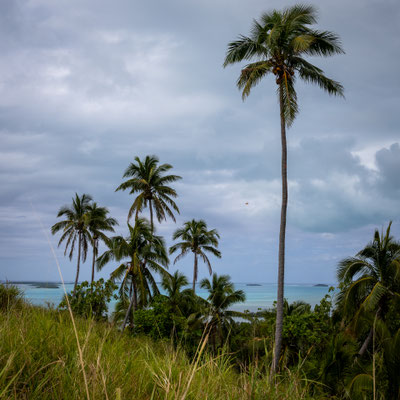Aitutaki - Maunga Pau 