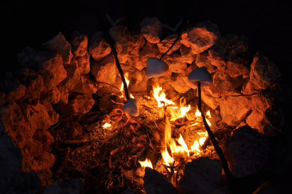 Marshmallows