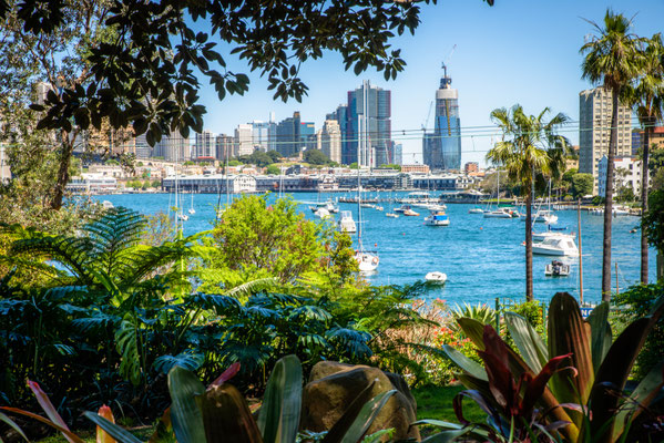 Lavender Bay - Wendy's Secret Garden