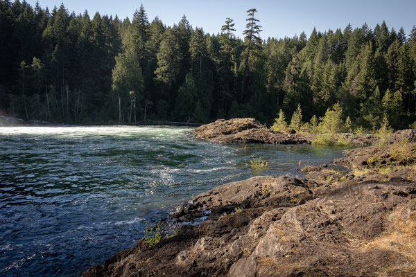 Elk River Provincial Park - Rundwanderung