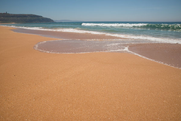 Palm Beach