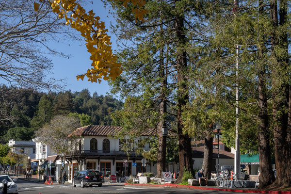 beautiful Mill Valley