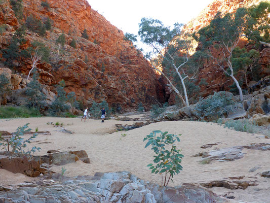 Wanderung in die Redbank Gorge