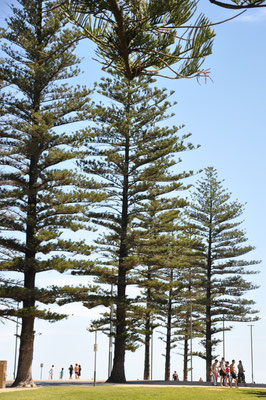 Glenelg/Adelaide