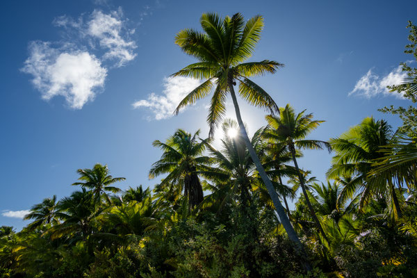 Aitutaki Lagoon - Akaiami Island