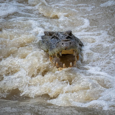 Cahills Crossing, Kakadu Nationalpark - die Flut