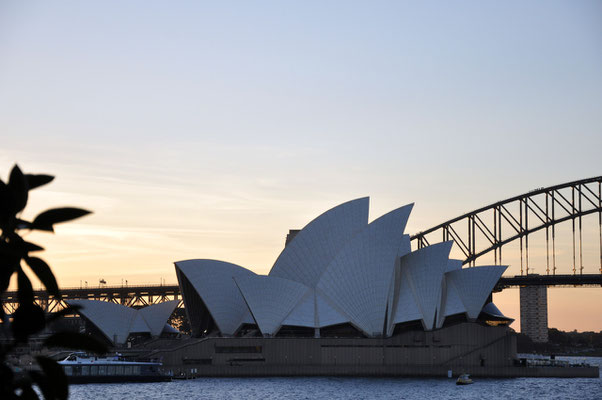 Opara und Harbour Bridge vom Botanischen Garten aus