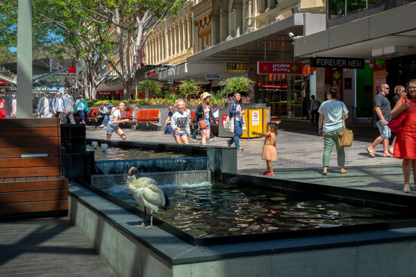 Queens Street Mall