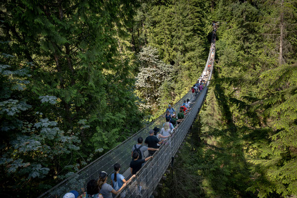 Capilano Suspension Bridge Park - die Hängebrücke