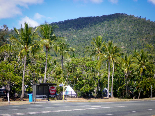 Bushaltestelle beim Island Getaway Caravan Park -mit dem Bus nach Shute Harbour (Hafen)