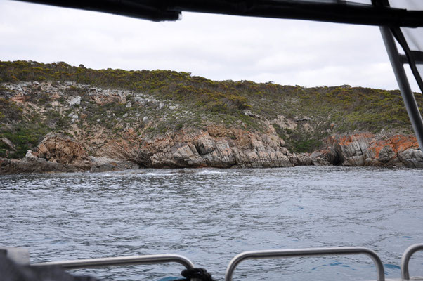 Shark-Cage-Diving-Tour - Küste vor Port Lincoln National Park