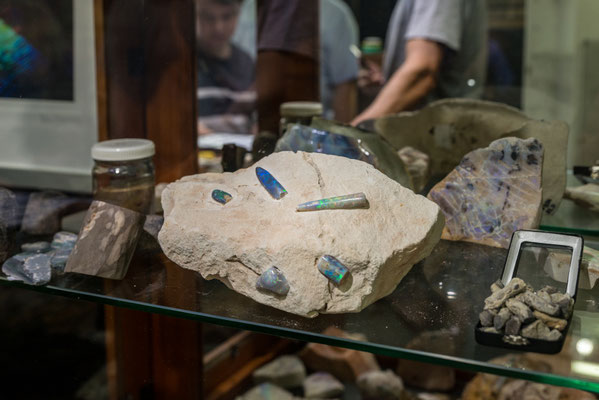 Opal Auction Head Office