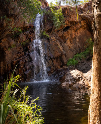 East Kimberley - Molly Springs