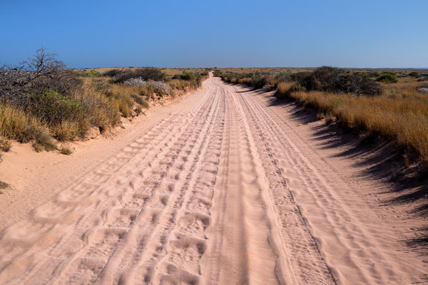 South Coastal Track 