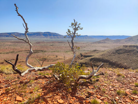 Wanderung Mount Bruce, Karijini National Park 